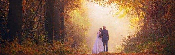 Wedding Slider Blurred Background